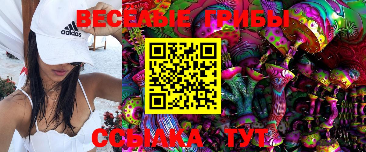Галлюциногенные грибы Psilocybe  Вход с VPN  Владимир 