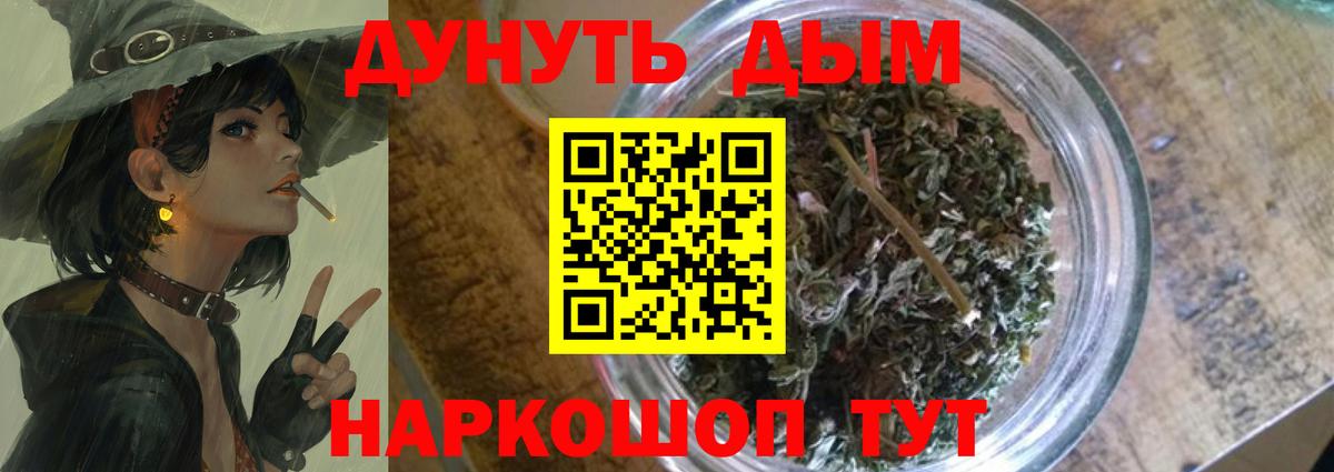 Владимир  Бошки Шишки AK-47  Вход с VPN  Канабис тримм  Канабис SATIVA & INDICA 